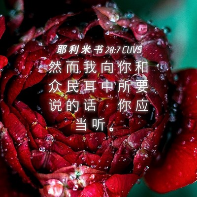 Picture 04 - 耶 利 米 书 28:7 CUVS - 然 而 我 向 你 和 众 民 耳 中 所 要 - Bible Verse Picture