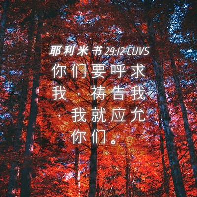 Picture 04 - 耶 利 米 书 29:12 CUVS - 你 们 要 呼 求 我 ， 祷 告 我 ， 我 - Bible Verse Picture