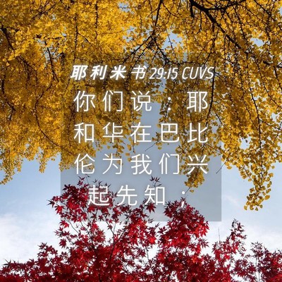 Picture 04 - 耶 利 米 书 29:15 CUVS - 你 们 说 ： 耶 和 华 在 巴 比 伦 为 - Bible Verse Picture