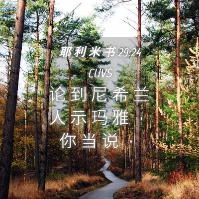 Picture 04 - 耶 利 米 书 29:24 CUVS - 论 到 尼 希 兰 人 示 玛 雅 ， 你 当 - Bible Verse Picture