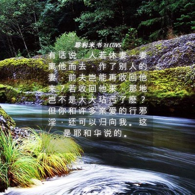 Picture 04 - 耶 利 米 书 3:1 CUVS - 有 话 说 ： 人 若 休 妻 ， 妻 离 他 - Bible Verse Picture