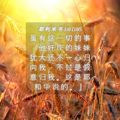 Picture 04 - 耶 利 米 书 3:10 CUVS - 虽 有 这 一 切 的 事 ， 他 奸 诈 的 - Bible Verse Picture