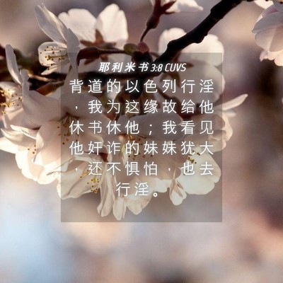 Picture 04 - 耶 利 米 书 3:8 CUVS - 背 道 的 以 色 列 行 淫 ， 我 为 这 - Bible Verse Picture