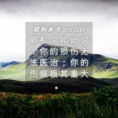 Picture 04 - 耶 利 米 书 30:12 CUVS - 耶 和 华 如 此 说 ： 你 的 损 伤 无 - Bible Verse Picture