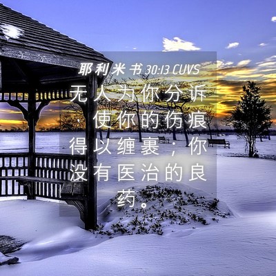 Picture 04 - 耶 利 米 书 30:13 CUVS - 无 人 为 你 分 诉 ， 使 你 的 伤 痕 - Bible Verse Picture