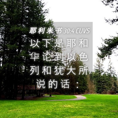 Picture 04 - 耶 利 米 书 30:4 CUVS - 以 下 是 耶 和 华 论 到 以 色 列 和 - Bible Verse Picture