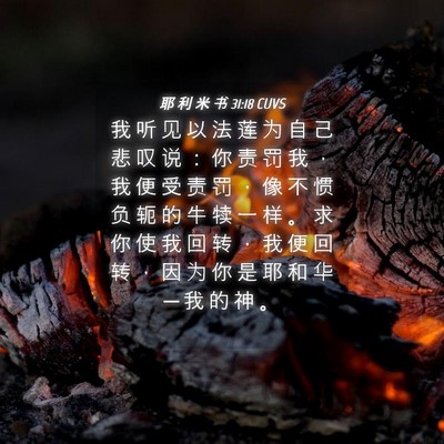 Picture 04 - 耶 利 米 书 31:18 CUVS - 我 听 见 以 法 莲 为 自 己 悲 叹 说 - Bible Verse Picture