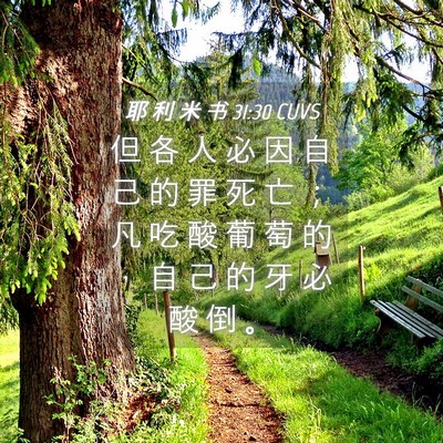 Picture 04 - 耶 利 米 书 31:30 CUVS - 但 各 人 必 因 自 己 的 罪 死 亡 ； - Bible Verse Picture