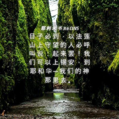 Picture 04 - 耶 利 米 书 31:6 CUVS - 日 子 必 到 ， 以 法 莲 山 上 守 望 - Bible Verse Picture