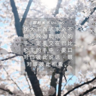 Picture 04 - 耶 利 米 书 32:4 CUVS - 犹 大 王 西 底 家 必 不 能 逃 脱 迦 - Bible Verse Picture