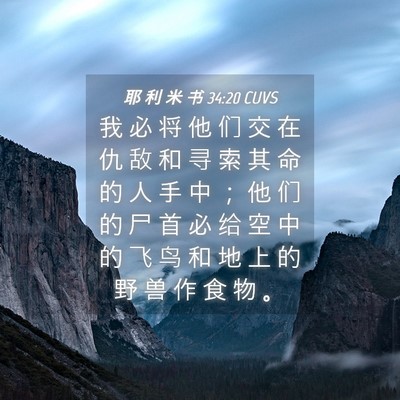 Picture 04 - 耶 利 米 书 34:20 CUVS - 我 必 将 他 们 交 在 仇 敌 和 寻 索 - Bible Verse Picture