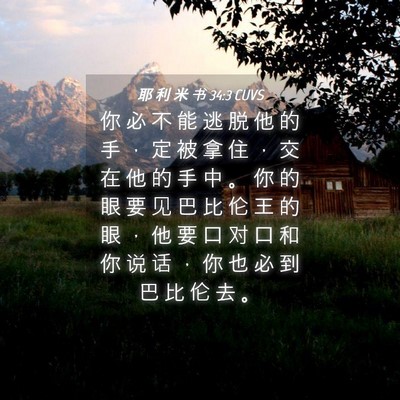Picture 04 - 耶 利 米 书 34:3 CUVS - 你 必 不 能 逃 脱 他 的 手 ， 定 被 - Bible Verse Picture