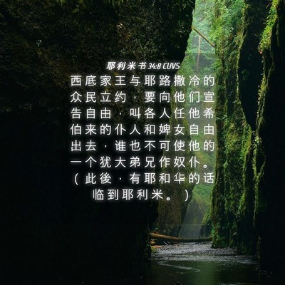 Picture 04 - 耶 利 米 书 34:8 CUVS - 西 底 家 王 与 耶 路 撒 冷 的 众 民 - Bible Verse Picture