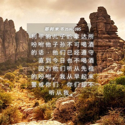 Picture 04 - 耶 利 米 书 35:14 CUVS - 利 甲 的 儿 子 约 拿 达 所 吩 咐 他 - Bible Verse Picture
