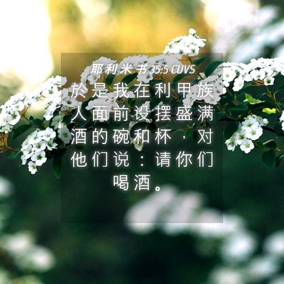 Picture 04 - 耶 利 米 书 35:5 CUVS - 於 是 我 在 利 甲 族 人 面 前 设 摆 - Bible Verse Picture