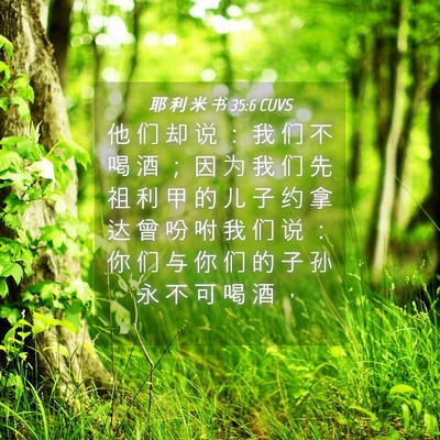 Picture 04 - 耶 利 米 书 35:6 CUVS - 他 们 却 说 ： 我 们 不 喝 酒 ； 因 - Bible Verse Picture