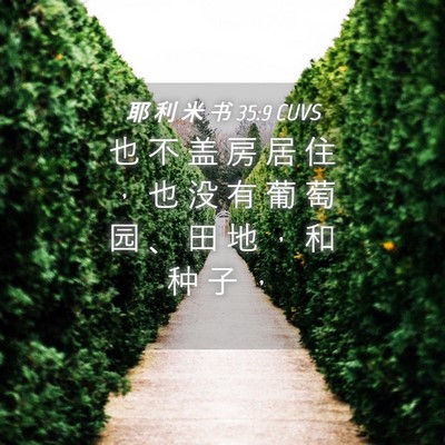 Picture 04 - 耶 利 米 书 35:9 CUVS - 也 不 盖 房 居 住 ， 也 没 有 葡 萄 - Bible Verse Picture