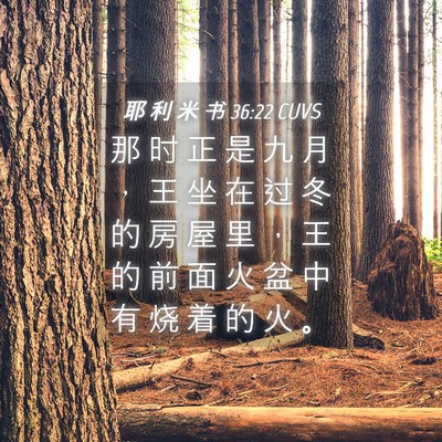 Picture 04 - 耶 利 米 书 36:22 CUVS - 那 时 正 是 九 月 ， 王 坐 在 过 冬 - Bible Verse Picture