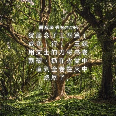 Picture 04 - 耶 利 米 书 36:23 CUVS - 犹 底 念 了 三 四 篇 （ 或 译 ： 行 - Bible Verse Picture