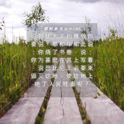 Picture 04 - 耶 利 米 书 36:29 CUVS - 论 到 犹 大 王 约 雅 敬 你 要 说 ， - Bible Verse Picture