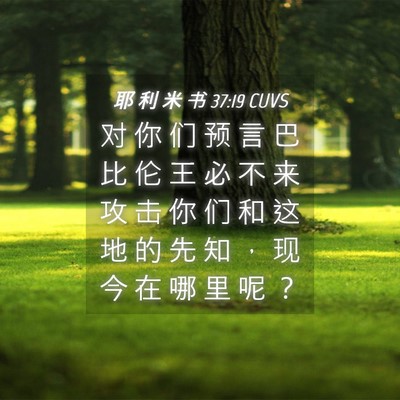 Picture 04 - 耶 利 米 书 37:19 CUVS - 对 你 们 预 言 巴 比 伦 王 必 不 来 - Bible Verse Picture