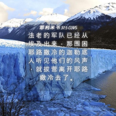 Picture 04 - 耶 利 米 书 37:5 CUVS - 法 老 的 军 队 已 经 从 埃 及 出 来 - Bible Verse Picture
