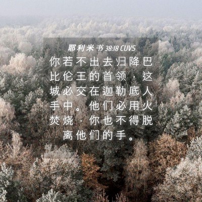 Picture 04 - 耶 利 米 书 38:18 CUVS - 你 若 不 出 去 归 降 巴 比 伦 王 的 - Bible Verse Picture