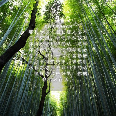 Picture 04 - 耶 利 米 书 38:20 CUVS - 耶 利 米 说 ： 迦 勒 底 人 必 不 将 - Bible Verse Picture