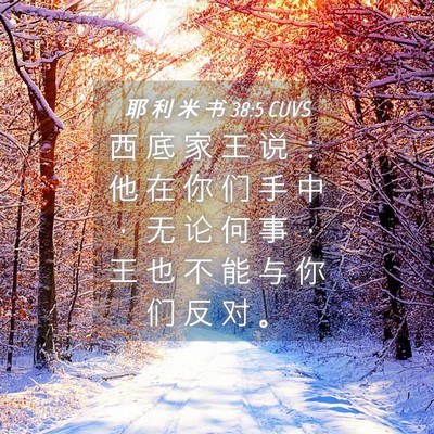 Picture 04 - 耶 利 米 书 38:5 CUVS - 西 底 家 王 说 ： 他 在 你 们 手 中 - Bible Verse Picture