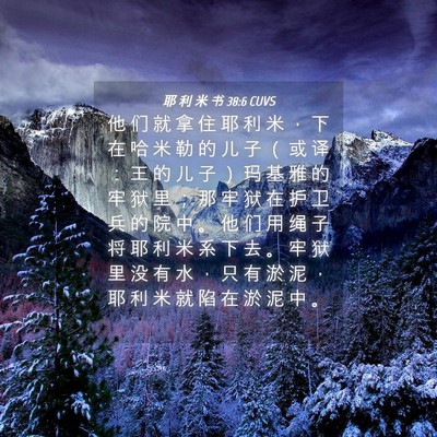 Picture 04 - 耶 利 米 书 38:6 CUVS - 他 们 就 拿 住 耶 利 米 ， 下 在 哈 - Bible Verse Picture