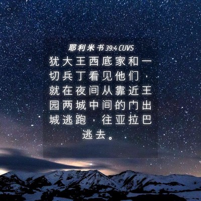Picture 04 - 耶 利 米 书 39:4 CUVS - 犹 大 王 西 底 家 和 一 切 兵 丁 看 - Bible Verse Picture