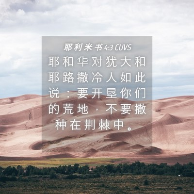 Picture 04 - 耶 利 米 书 4:3 CUVS - 耶 和 华 对 犹 大 和 耶 路 撒 冷 人 - Bible Verse Picture