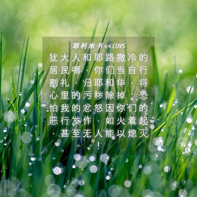Picture 04 - 耶 利 米 书 4:4 CUVS - 犹 大 人 和 耶 路 撒 冷 的 居 民 哪 - Bible Verse Picture