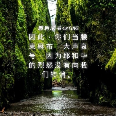 Picture 04 - 耶 利 米 书 4:8 CUVS - 因 此 ， 你 们 当 腰 束 麻 布 ， 大 - Bible Verse Picture