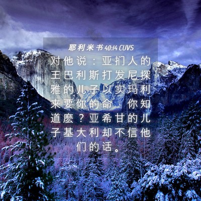 Picture 04 - 耶 利 米 书 40:14 CUVS - 对 他 说 ： 亚 扪 人 的 王 巴 利 斯 - Bible Verse Picture