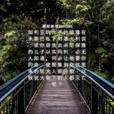 Picture 04 - 耶 利 米 书 40:15 CUVS - 加 利 亚 的 儿 子 约 哈 难 在 米 斯 - Bible Verse Picture
