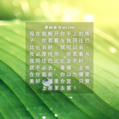 Picture 04 - 耶 利 米 书 40:4 CUVS - 现 在 我 解 开 你 手 上 的 炼 子 ， - Bible Verse Picture