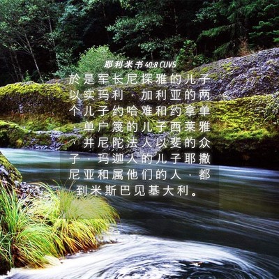 Picture 04 - 耶 利 米 书 40:8 CUVS - 於 是 军 长 尼 探 雅 的 儿 子 以 实 - Bible Verse Picture