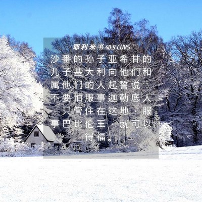 Picture 04 - 耶 利 米 书 40:9 CUVS - 沙 番 的 孙 子 亚 希 甘 的 儿 子 基 - Bible Verse Picture