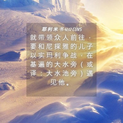 Picture 04 - 耶 利 米 书 41:12 CUVS - 就 带 领 众 人 前 往 ， 要 和 尼 探 - Bible Verse Picture
