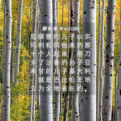 Picture 04 - 耶 利 米 书 41:2 CUVS - 尼 探 雅 的 儿 子 以 实 玛 利 和 同 - Bible Verse Picture