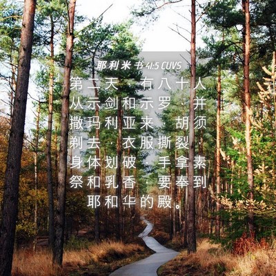 Picture 04 - 耶 利 米 书 41:5 CUVS - 第 二 天 ， 有 八 十 人 从 示 剑 和 - Bible Verse Picture