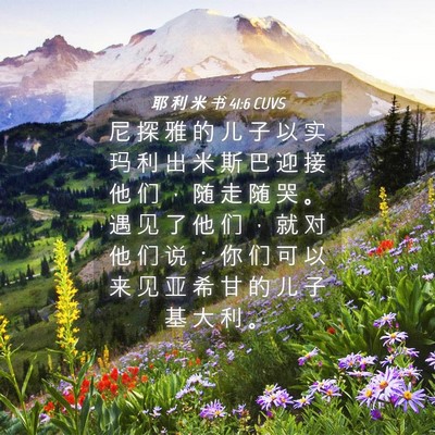 Picture 04 - 耶 利 米 书 41:6 CUVS - 尼 探 雅 的 儿 子 以 实 玛 利 出 米 - Bible Verse Picture