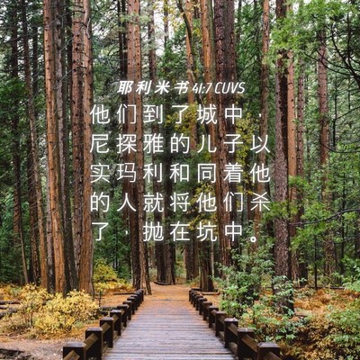 Picture 04 - 耶 利 米 书 41:7 CUVS - 他 们 到 了 城 中 ， 尼 探 雅 的 儿 - Bible Verse Picture