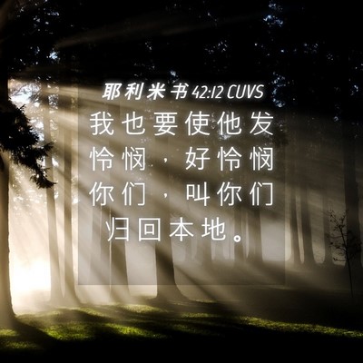 Picture 04 - 耶 利 米 书 42:12 CUVS - 我 也 要 使 他 发 怜 悯 ， 好 怜 悯 - Bible Verse Picture