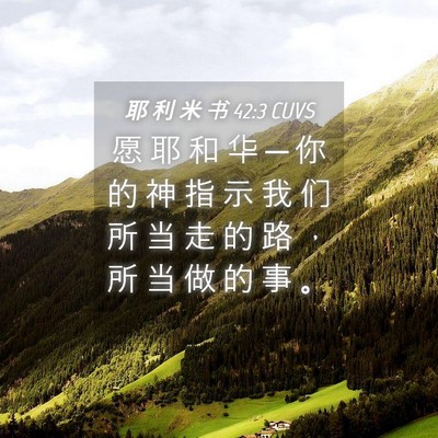 Picture 04 - 耶 利 米 书 42:3 CUVS - 愿 耶 和 华 ─ 你 的 神 指 示 我 们 - Bible Verse Picture
