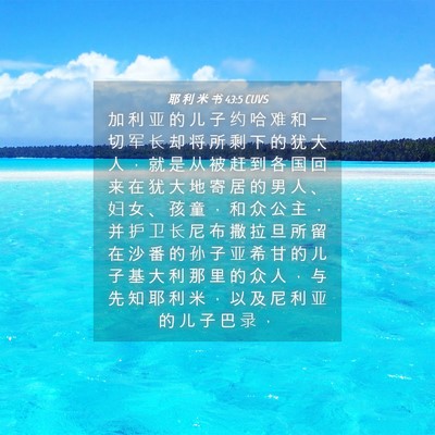 Picture 04 - 耶 利 米 书 43:5 CUVS - 加 利 亚 的 儿 子 约 哈 难 和 一 切 - Bible Verse Picture