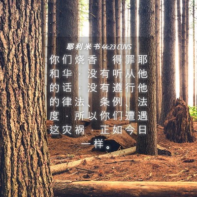 Picture 04 - 耶 利 米 书 44:23 CUVS - 你 们 烧 香 ， 得 罪 耶 和 华 ， 没 - Bible Verse Picture
