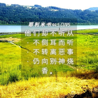 Picture 04 - 耶 利 米 书 44:5 CUVS - 他 们 却 不 听 从 ， 不 侧 耳 而 听 - Bible Verse Picture