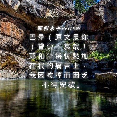 Picture 04 - 耶 利 米 书 45:3 CUVS - 巴 录 （ 原 文 是 你 ） 曾 说 ： 哀 - Bible Verse Picture